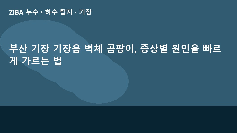 부산 기장 기장읍 벽체 곰팡이, 증상별 원인을 빠르게 가르는 법