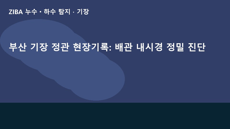 부산 기장 정관 현장기록: 배관 내시경 정밀 진단