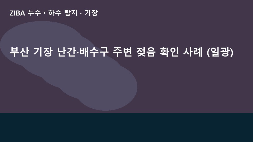 부산 기장 난간·배수구 주변 젖음 확인 사례 (일광)