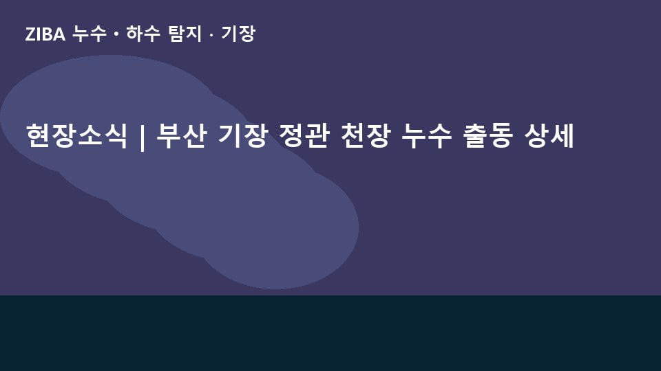 현장소식 | 부산 기장 정관 천장 누수 출동 상세