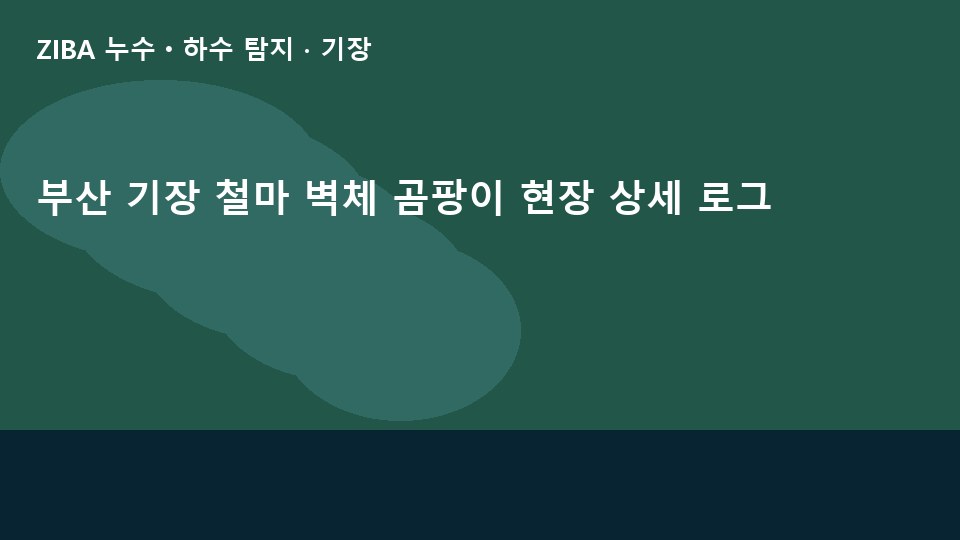 부산 기장 철마 벽체 곰팡이 현장 상세 로그